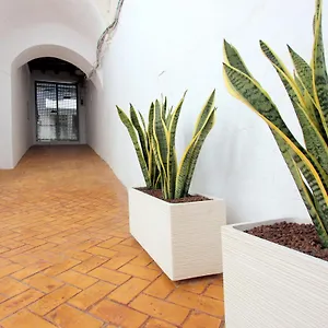 Conil10 Apartamento